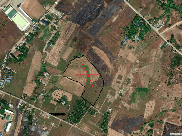 1 to 4 hectares farm lot in Palayan City Nueva Ecija