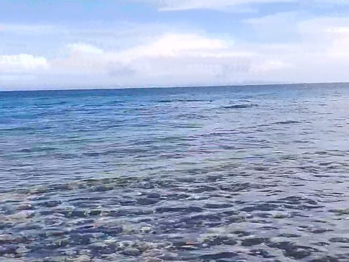 72 sqm Beach Property For Sale in Bogo Cebu