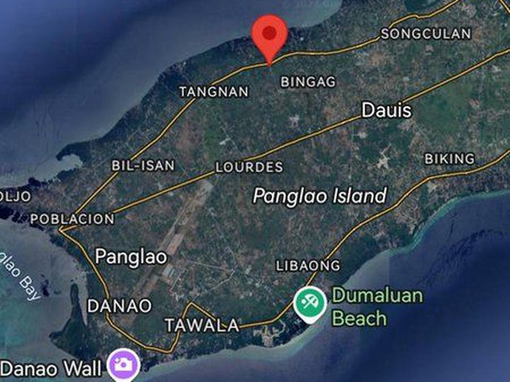 3,301 sqm Farm Lot For Sale in Panglao Bohol