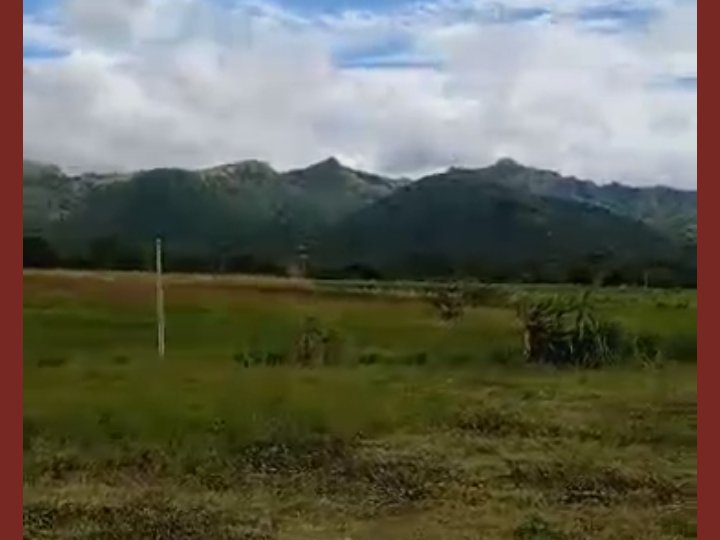 500 sqm Farm Lot For Sale in Tuy Batangas