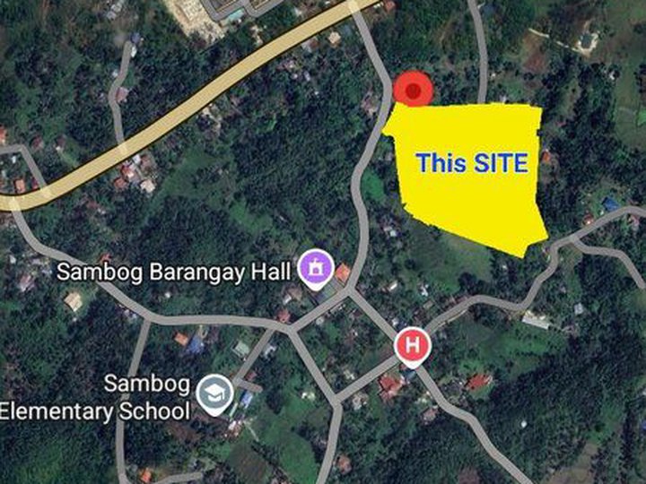 1.9 HECTARES LOT NEAR NGCP, CORELLA,BOHOL, PHILIPPINES FOR SALE