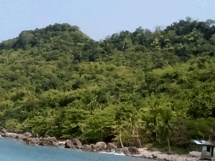 18 hectares Lot For Sale Overlooking the sea! in Bani pangasinan,