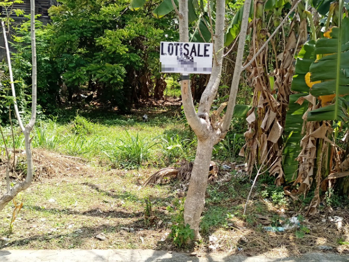 160 sqm Residential Lot For Sale Antipolo City Park Hills Subdivision Brgy San Luis