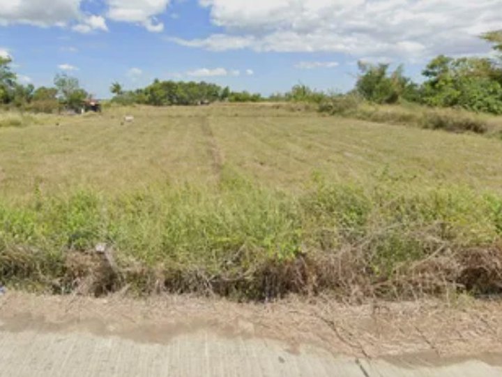 Foreclosed 977 sqm Residential Lot For Sale in Gapan Nueva Ecija
