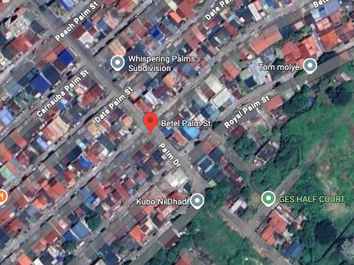Foreclosed Residential House and Lot For Sale in Caloocan