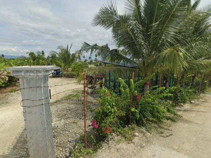 Beach Lot 3-Hectare for Resort Hotel Development Dive Shop Moalboal