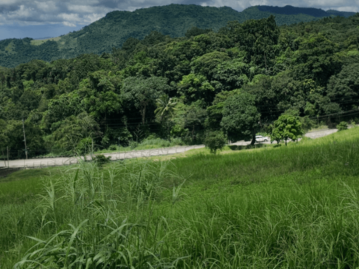 1,100 sqm Residential Lot For Sale in Tanay Rizal