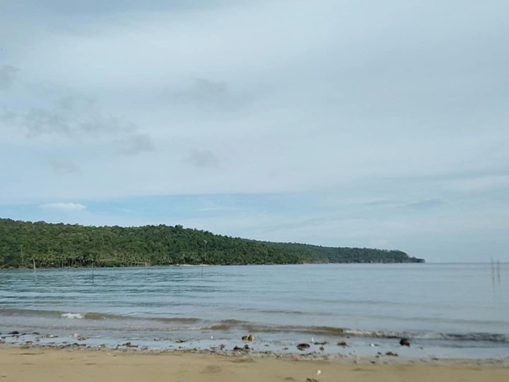 Stunning 1.74 ha Lot for Sale in Aborlan, Palawan with 155m beachfront