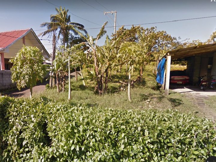Farm Lot in Silang Cavite Philippines