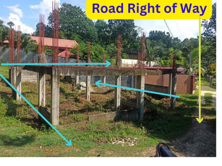 300 sqm Residential Lot For Sale in Siquijor Siquijor