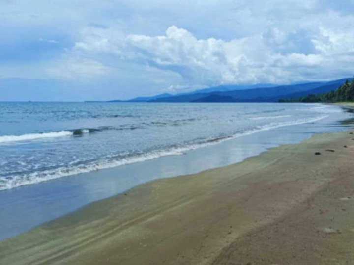 3-Hectare Titled Property For Sale in Aramaywan, Quezon Puerto Princesa City