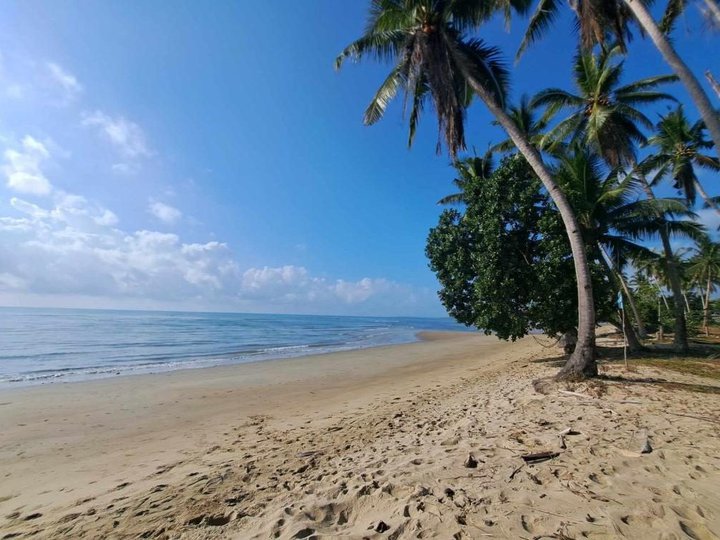 3,647 sqm Beach Property For Sale in Roxas Palawan