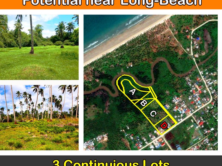 New Agutaya, San Vicente Agri-Residential Subdivision with Tourism Potential next to Long Beach