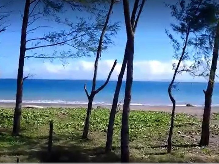 990sqm lot NEAR the BEACH in Infanta, Quezon FOR SALE