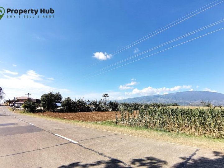 FOR SALE 2.7 HECTARES FARM LOT ALONG THE HIGHWAY IN CLAVERIA Lots