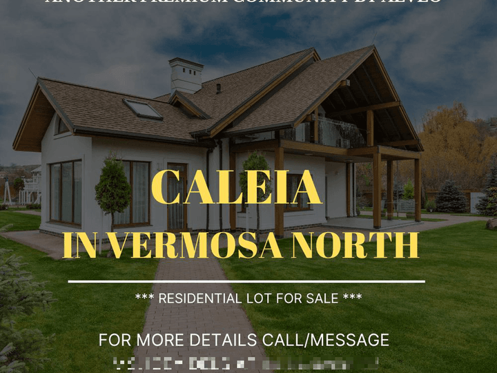 VERMOSA NORTH RESIDENTIAL LOT FOR SALE BY ALVEO