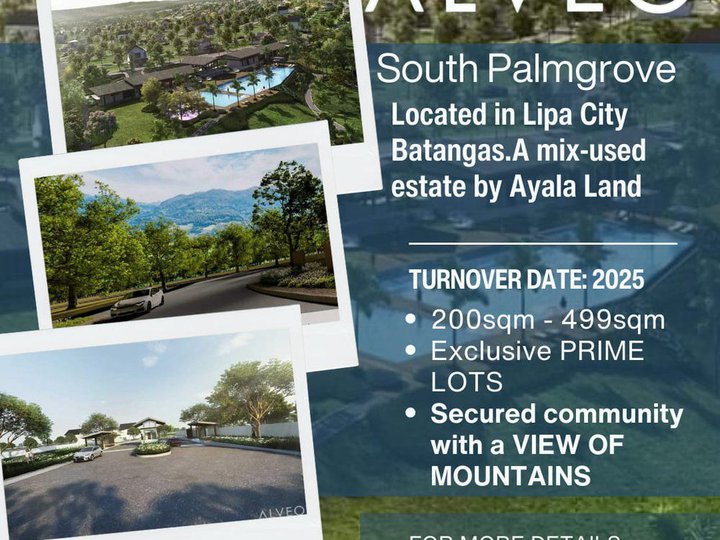 223 sqm South Palmgrove Residential Lot For Sale in Lipa Batangas