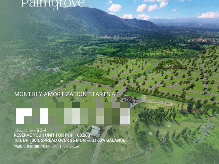 South Palmgrove by Alveo Land 343 sqm Residential Lot For Sale in Lipa Batangas