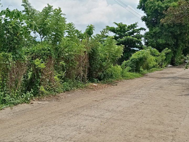 1.2 Hectares Residential lot for Sale in Sta. Maria, Laguna