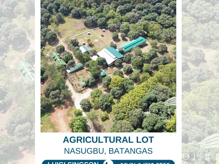 8 HECTARES AGRICULTURAL LOT FOR SALE NASUGBU BATANGAS