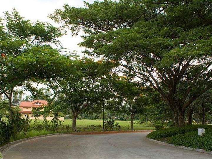 Stonecrest Residential Lot For Sale in San Pedro Laguna by Landco access via Southwoods SLEX