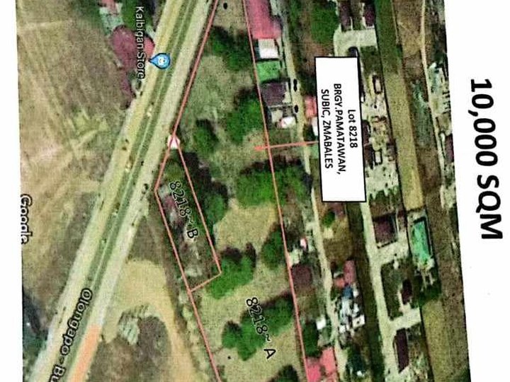 1 hectare Commercial Lot For Sale in Subic Zambales