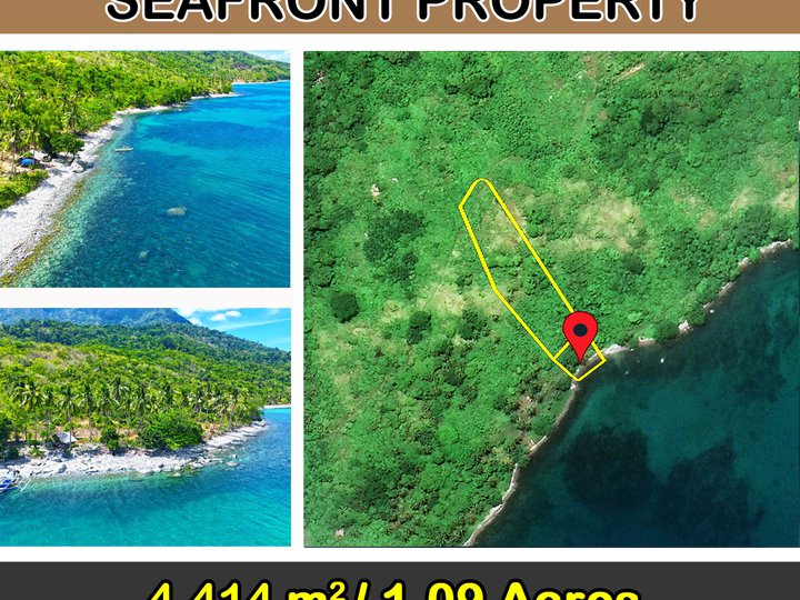 4,414 m2 / 1.09 Acres Tropical White Seafront Property in San Vicente