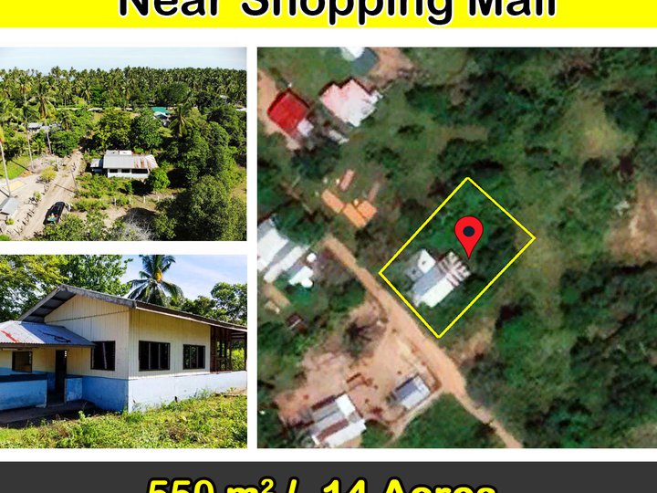 550 m2 / .14 Acres Residential Lot For Sale in San Vicente Palawan