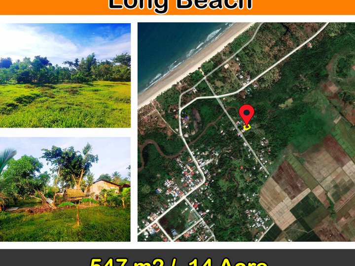 547 m2 / .14 Acres Residential Lot For Sale in San Vicente Palawan