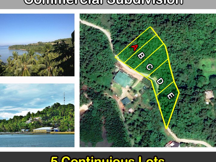 Poblacion, San Vicente Hilltop Bay View Commercial Subdivision Property