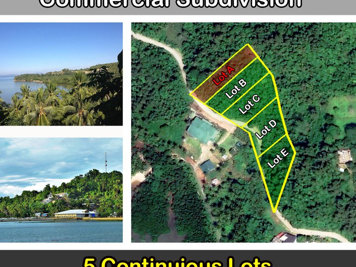 1,924 m2 / 20,710 ft2 Poblacion, San Vicente Hilltop Bay View Commercial Subdivision Property