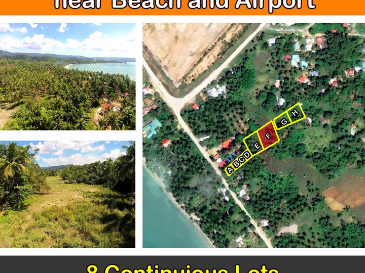 Poblacion, San Vicente Prime Residential Tourism Subdivision next to the Beach and Airport