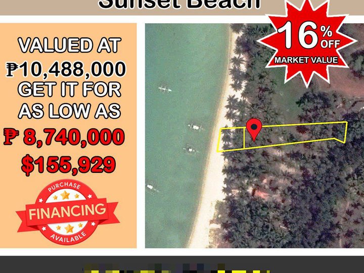 874 sqm Beach Property For Sale By Owner in San Vicente Palawan