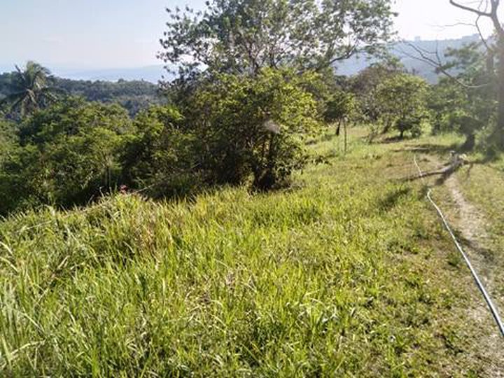 FOR SALE: Vacant Lot Ideal of boutique hotel commercial in Tagaytay