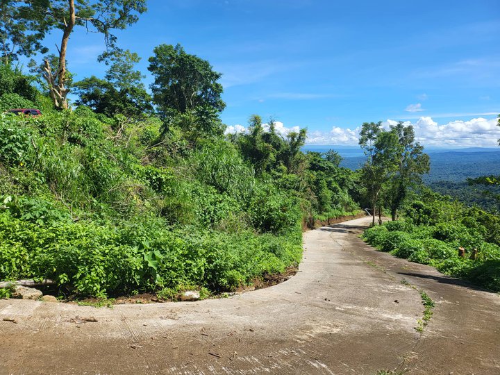 Affordable lot for sale near in Tagaytay