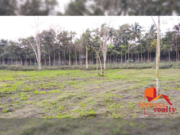 13,846 sqm Residential Lot For Sale in Amadeo Cavite