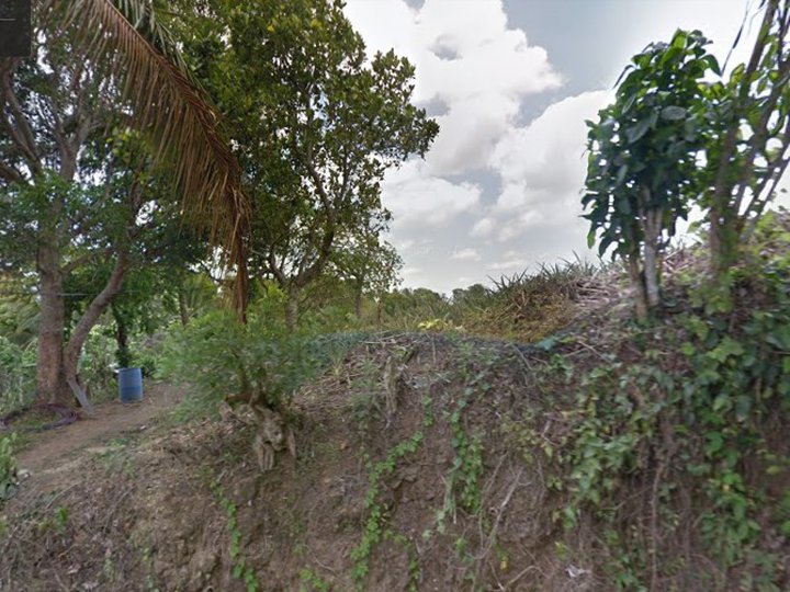 Lot For Sale in Tagaytay City
