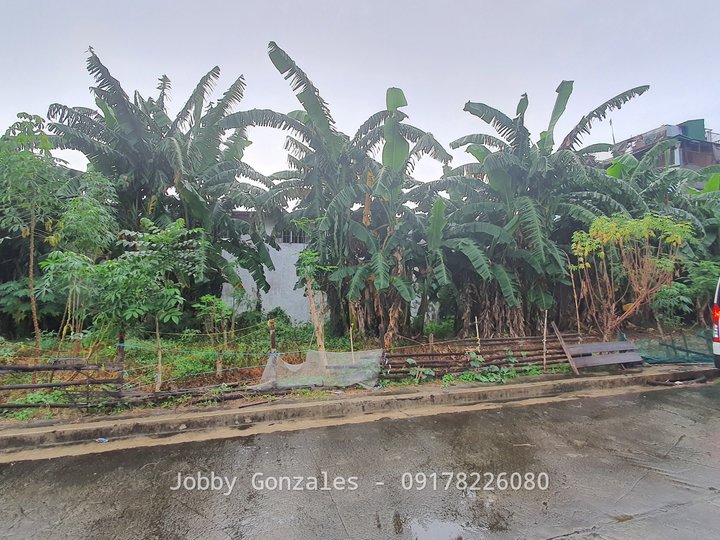 120 sqm Residential Lot For Sale in Taytay Rizal (Along Highway 2000)