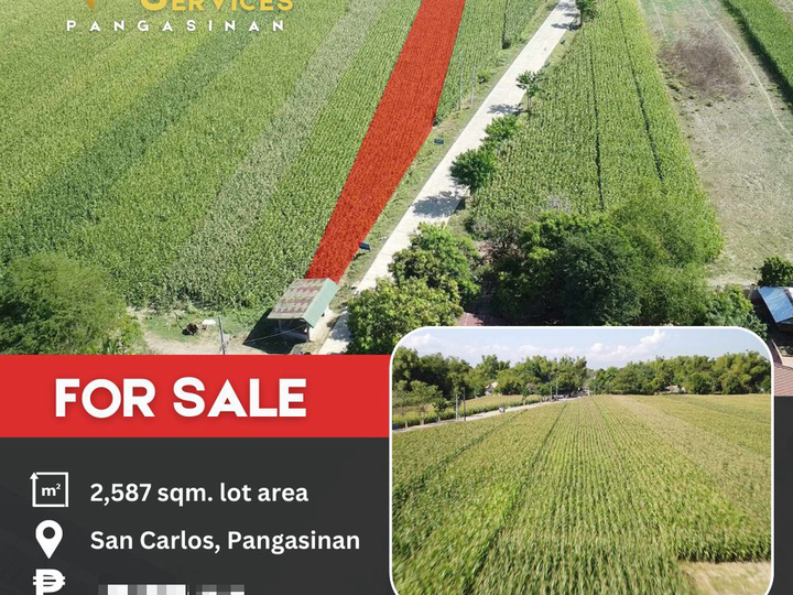 2,587 sqm Farm Lot For Sale in San Carlos Pangasinan