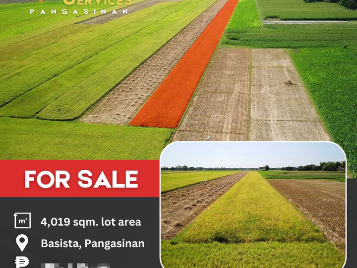 4,019 sqm Farm Lot For Sale in Basista Pangasinan