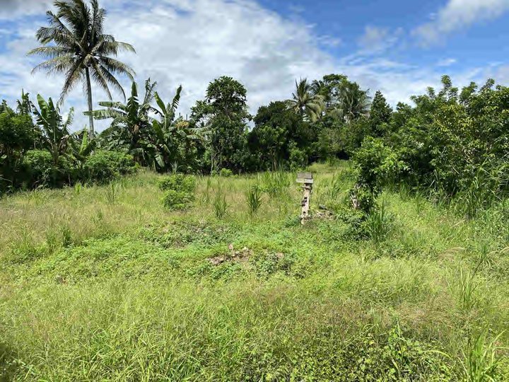 TITLED LOT 1359sqm just 10 mins from Tagaytay, just P7/sqm