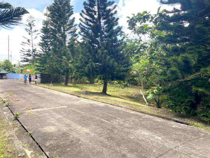 Titled Residential Lot 1508sqm entrance direct to Crisanto. P7.5k/sqm