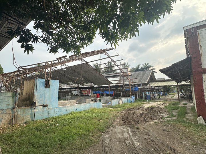 Prime 5-Hectare Land For Sale in Guiguinto, Bulacan