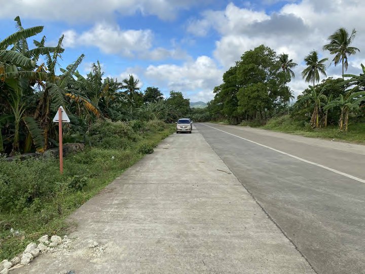 P3k/sqm TITLED. 2.9ha frontage to East West Road, Magallanes, Cavite