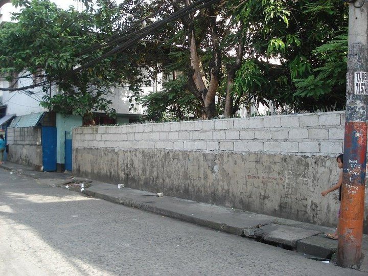 Commercial Property For Sale in San Juan City Perspective Included