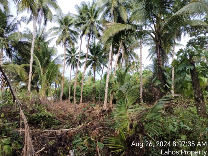 SIARGAO LOT FOR SALE BEACH LOT