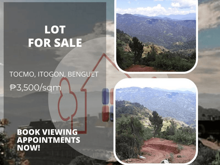 1 hectare Raw Land For Sale in Itogon Benguet