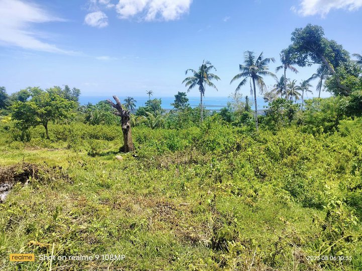 Overlooking seaview lot for sale 4,000 sqm at Tubigon Bohol 6,000,000
