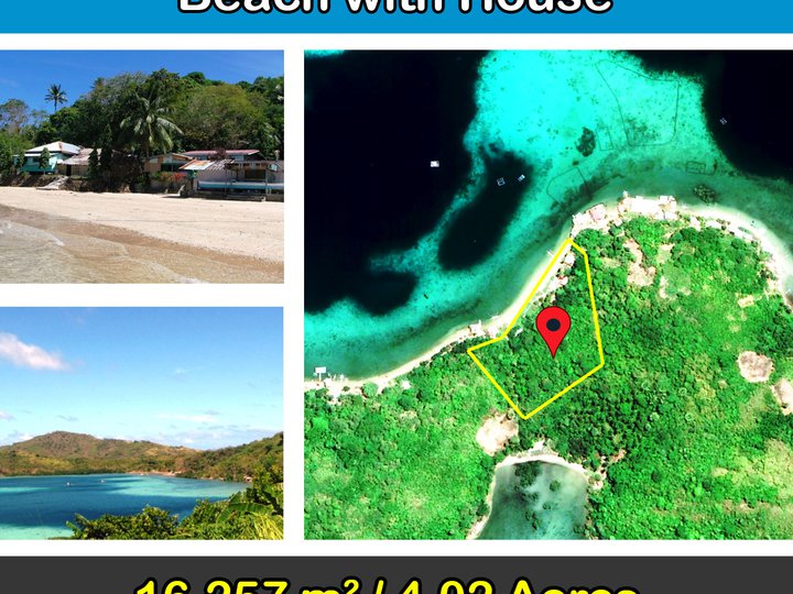 16,257 m2 / 4 Acres Icadambanauan Island Beach Portion with House