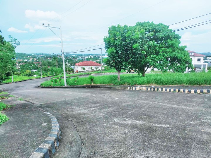 Prime Residential Lots 300 to 600 sqm in Royal Cebu Subdivision